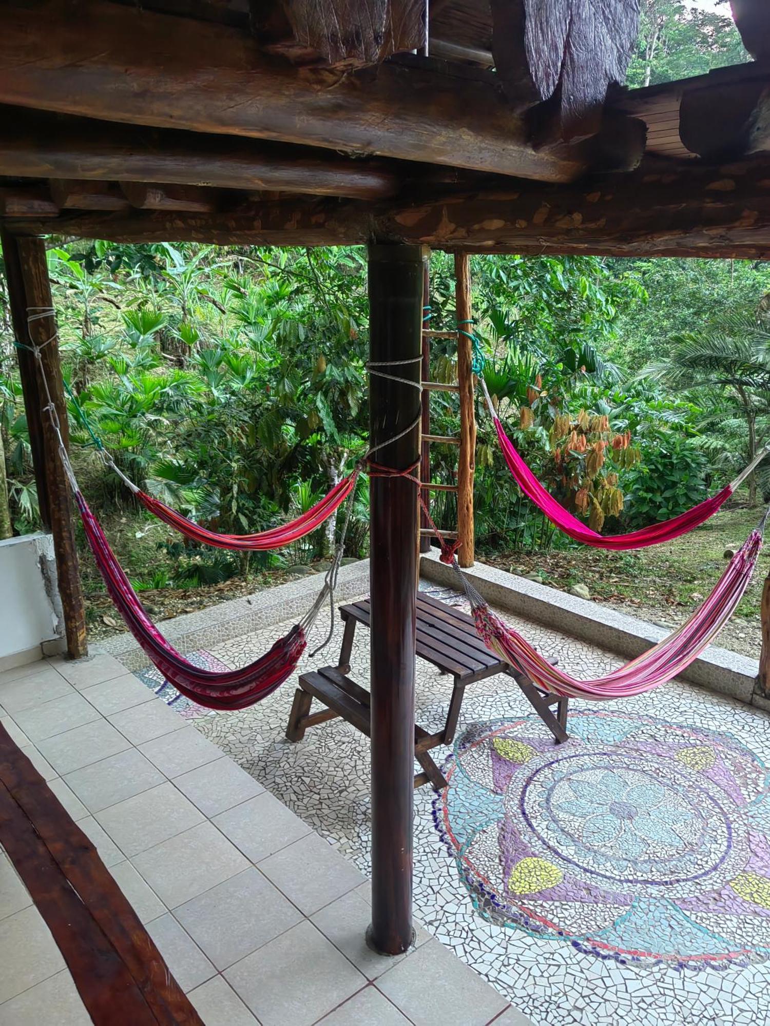 Wisdom Forest Lodge テナ エクステリア 写真